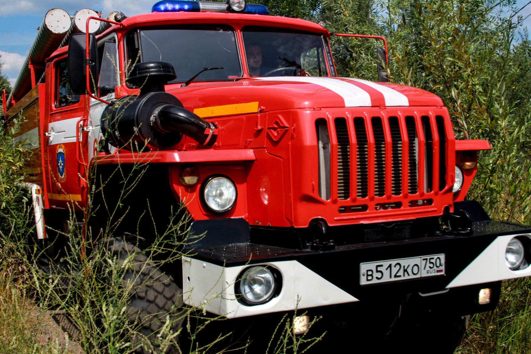 В Подмосковье в этом году потушили более 340 лесных пожаров