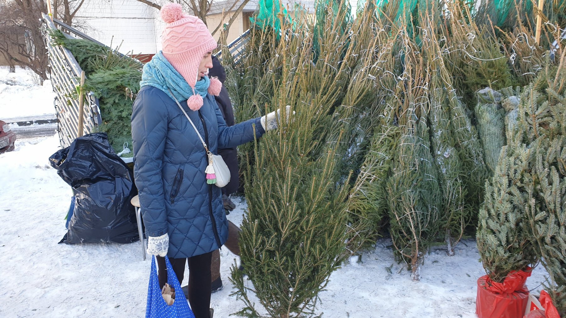 Где купить елку в Пушкино?