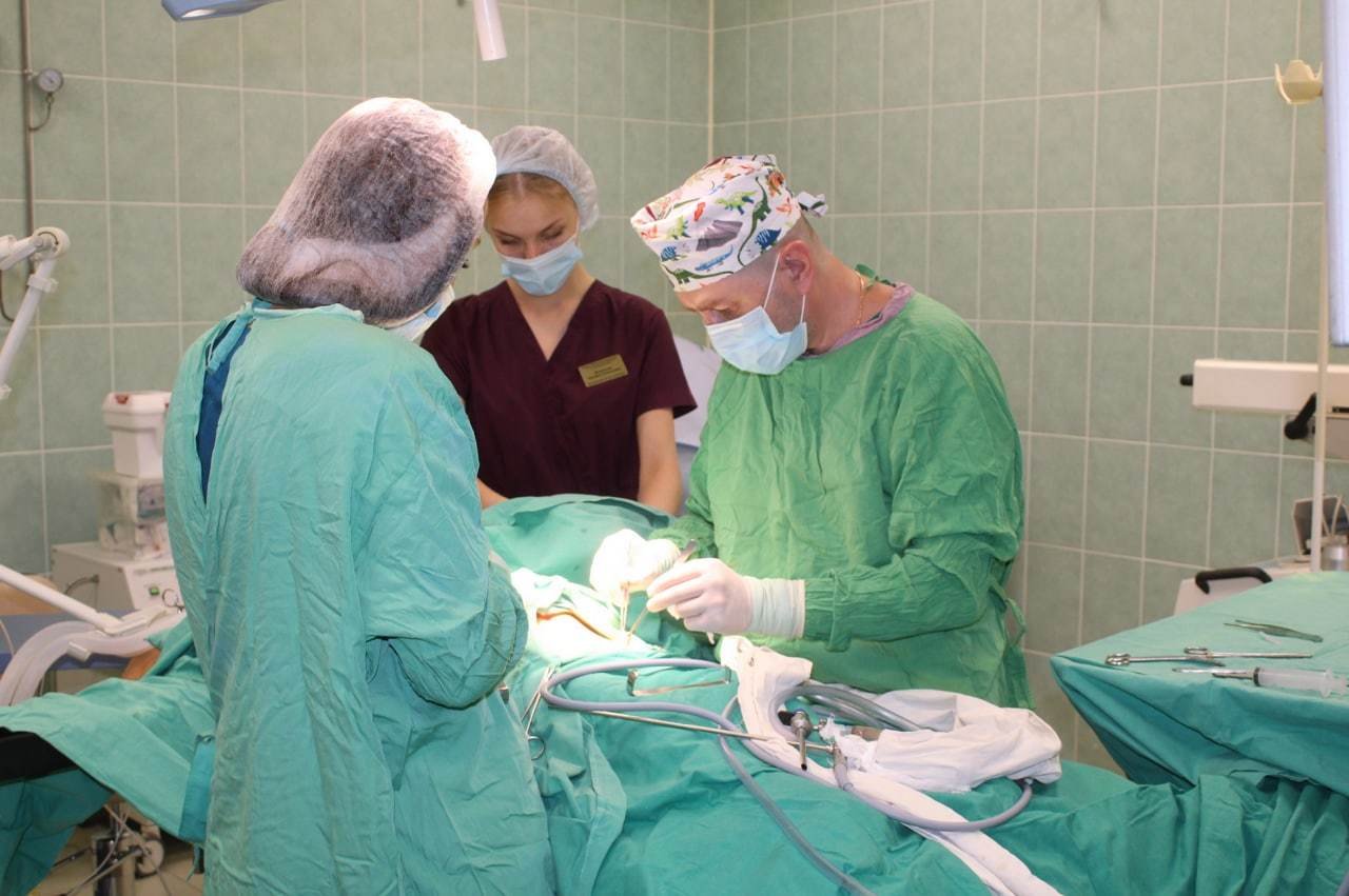 Детская хирургия Пушкино за год принимает более 1 тысячи детей