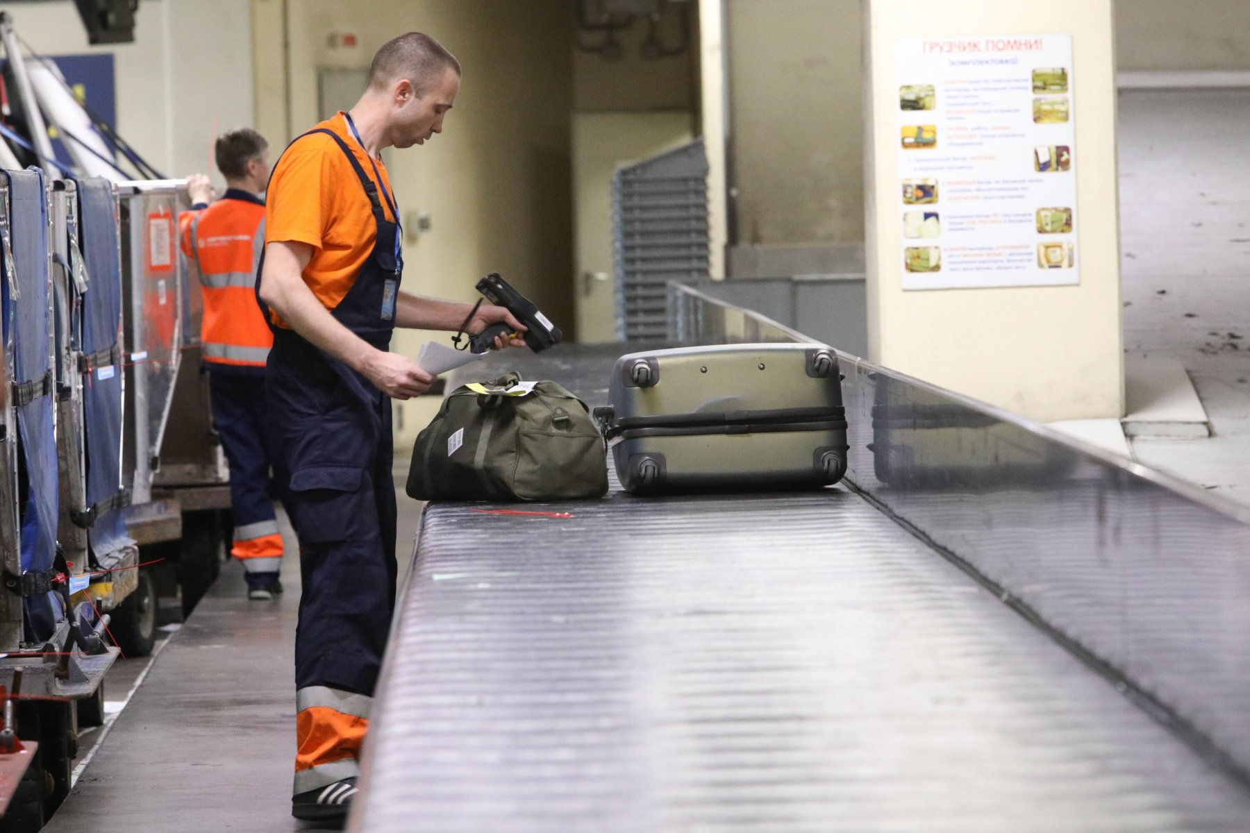 Экзотический груз изъяли у пассажира в аэропорту Жуковский