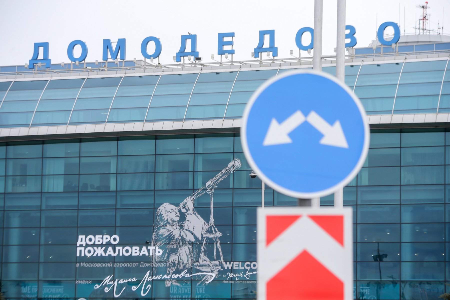 Мужчину с наркотиками задержали в аэропорту Домодедово