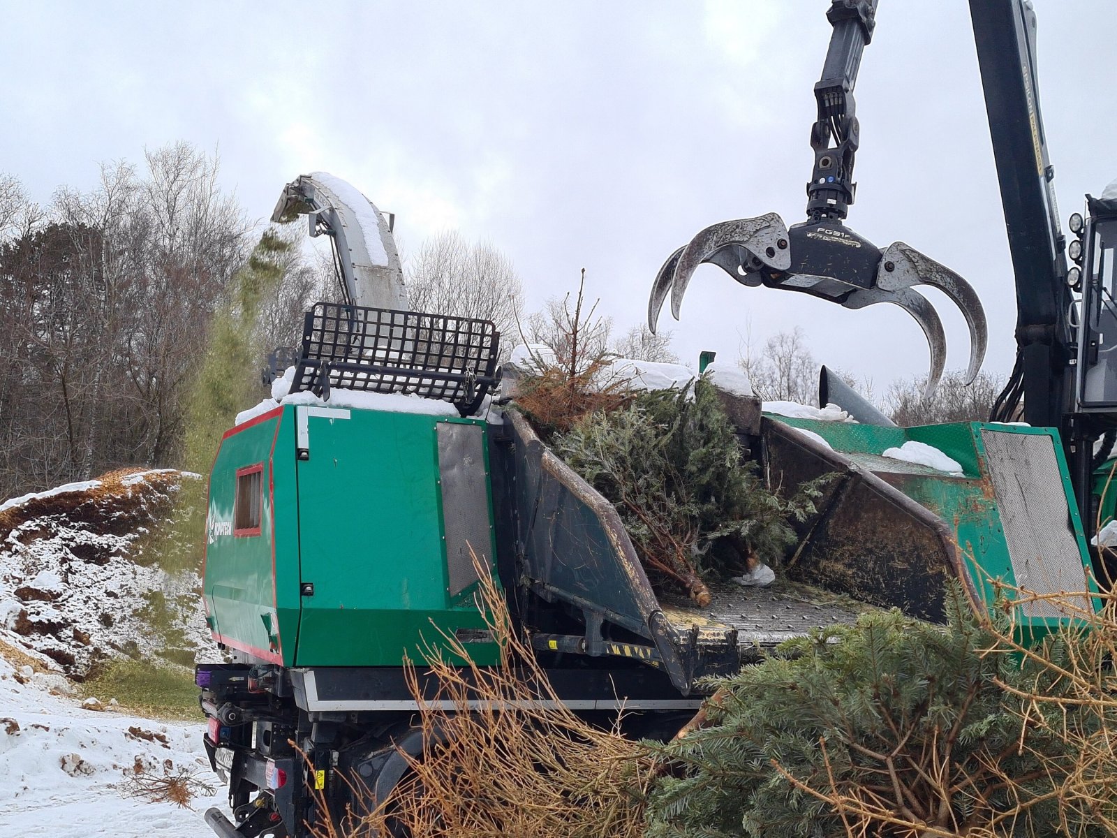 Свыше 200 пунктов приема новогодних деревьев для утилизации работают в Подмосковье
