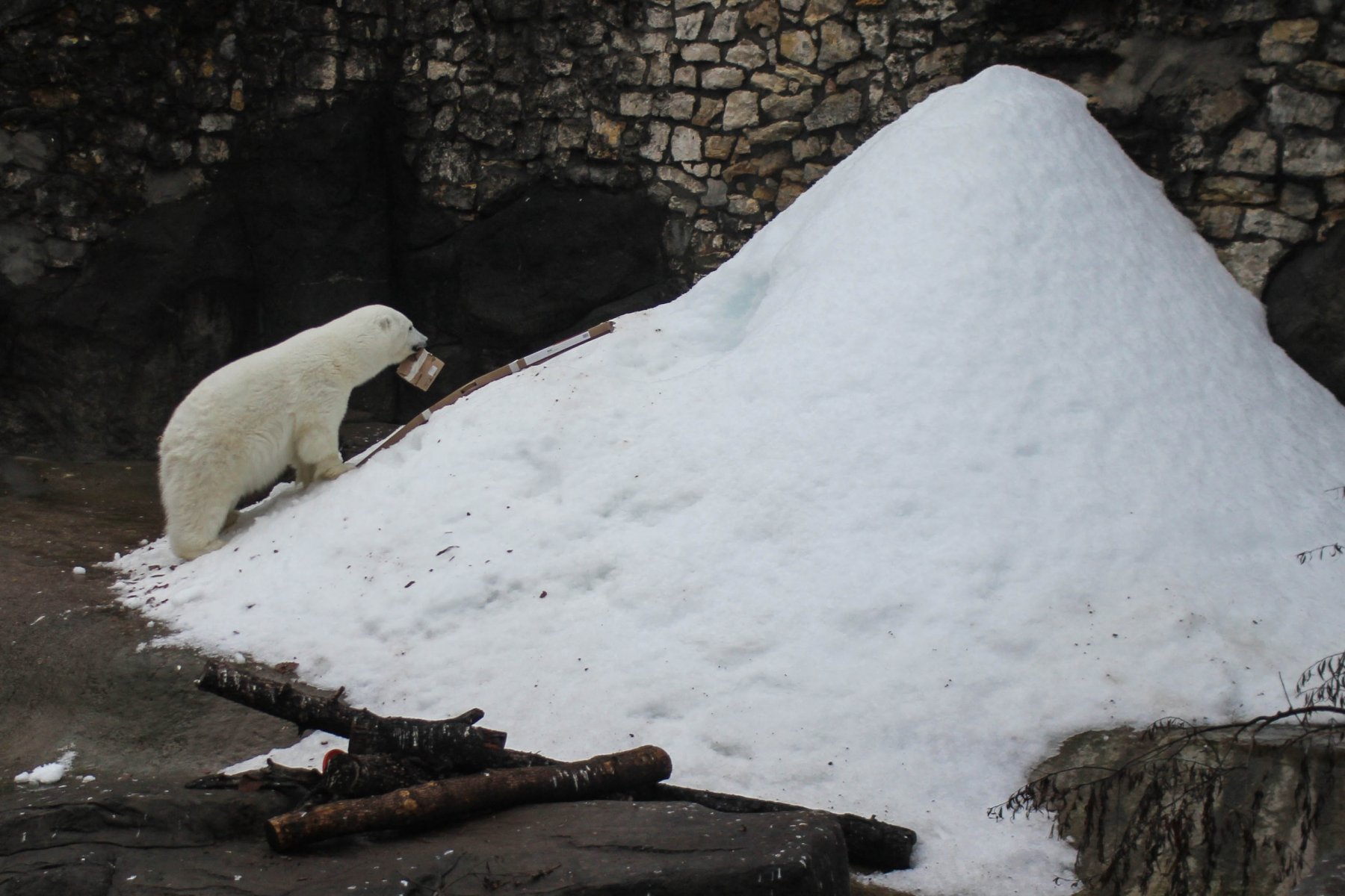 Для животных Московского зоопарка собрали 50 мешков с подарками