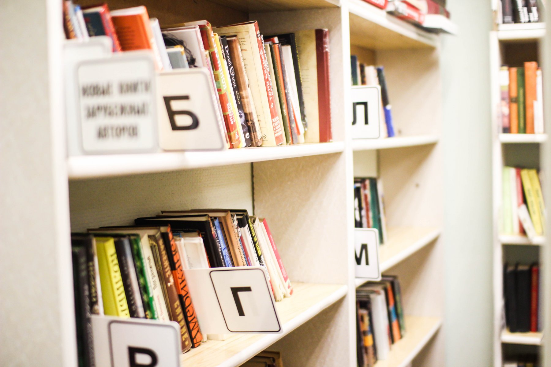 Около 31 млн книг в 2022 году взяли в библиотеках жители Подмосковья 