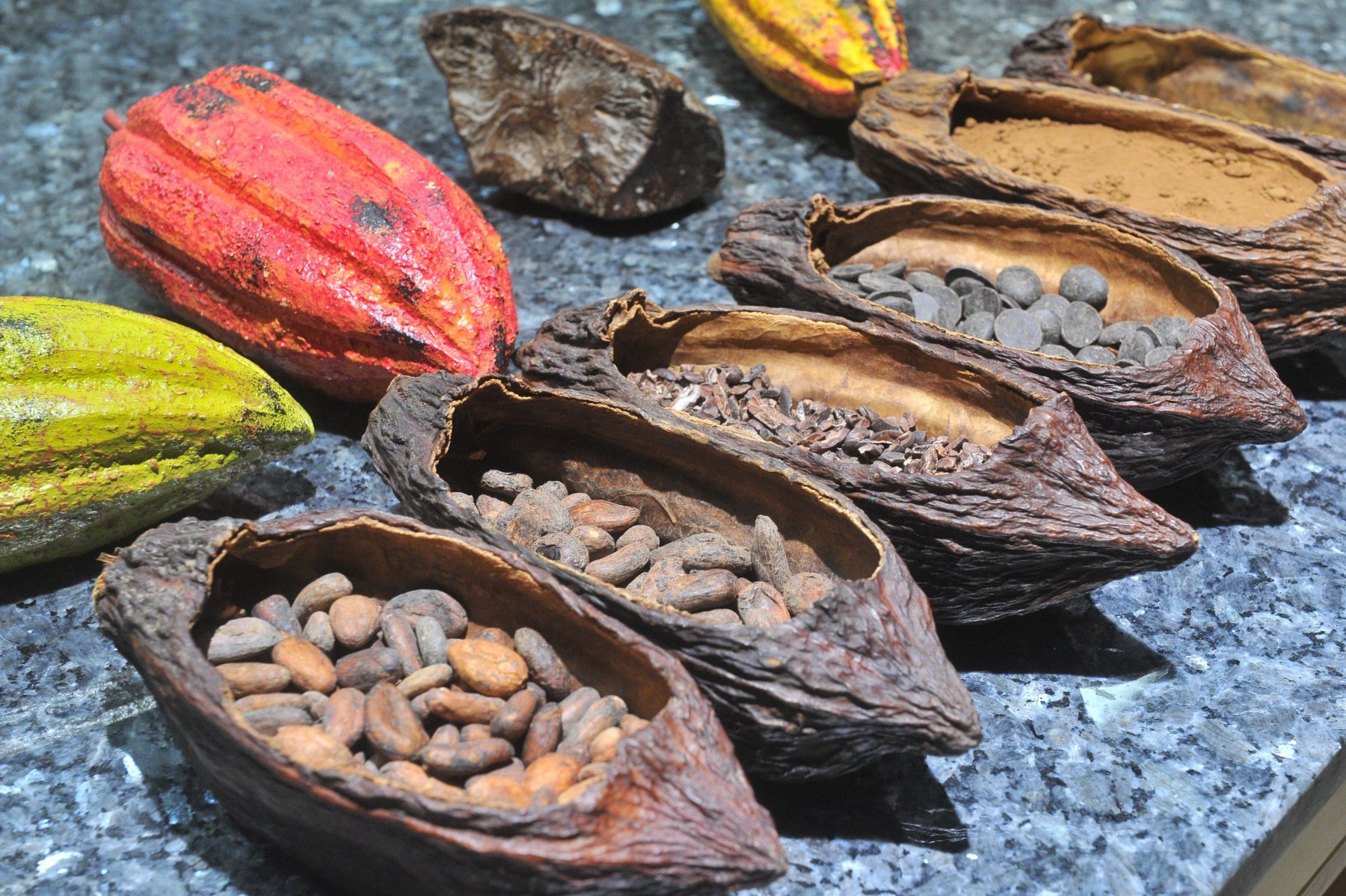 На курорте «Роза Хутор» открылось кафе, где готовят самый правильный какао