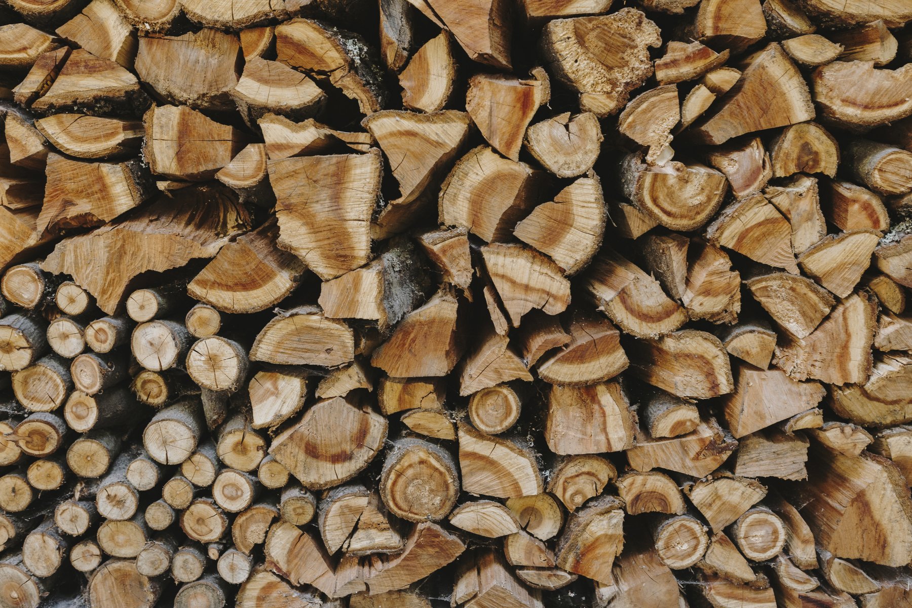В Подмосковье почти вдвое увеличился спрос на заготовку дров