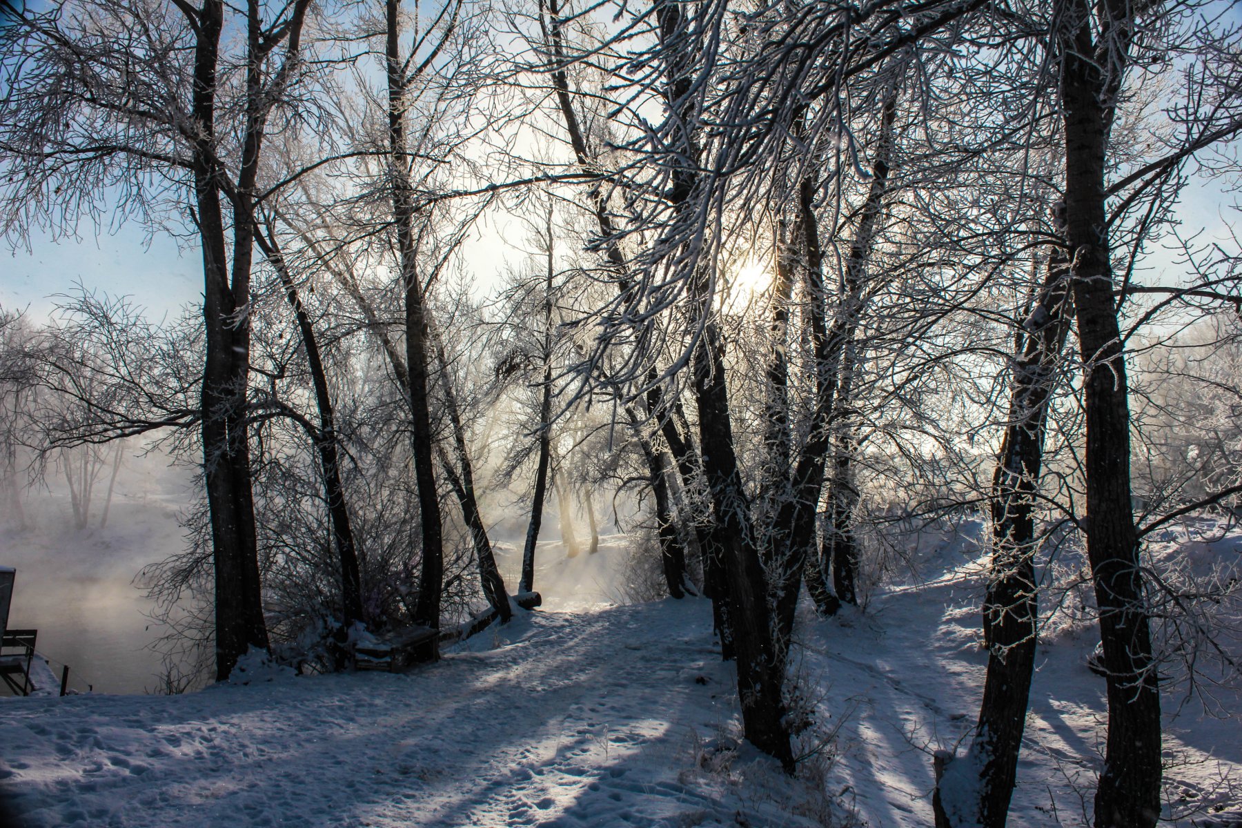 Москву накрыл морозный туман
