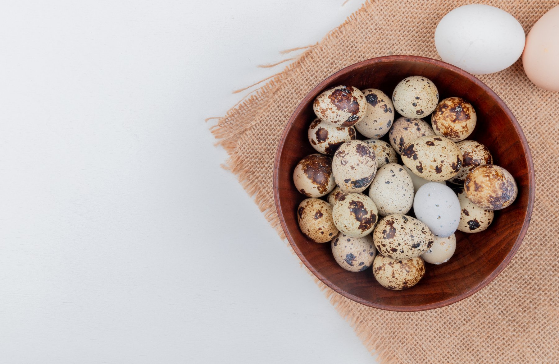 Птицефабрика из Серпухова стала первой в Подмосковье по объемам производства перепелиного яйца