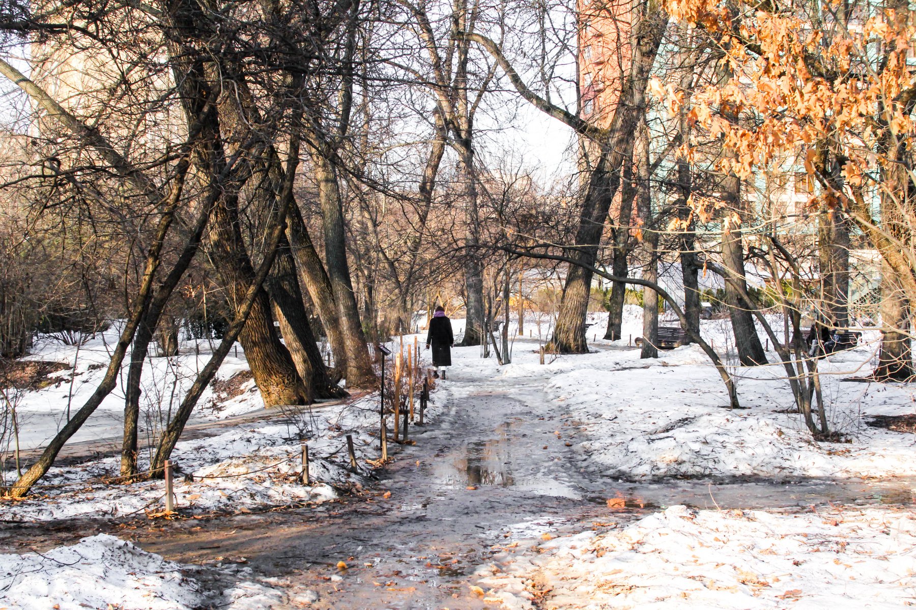 Сегодняшний день в Москве может стать самым влажным за последние 75 лет 