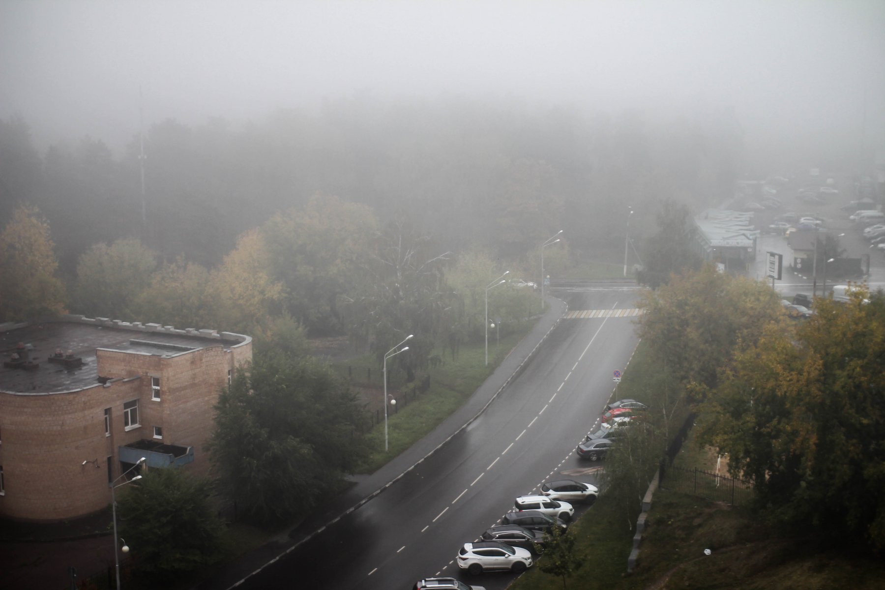 Минтранс призвал водителей Подмосковья быть бдительными из-за тумана