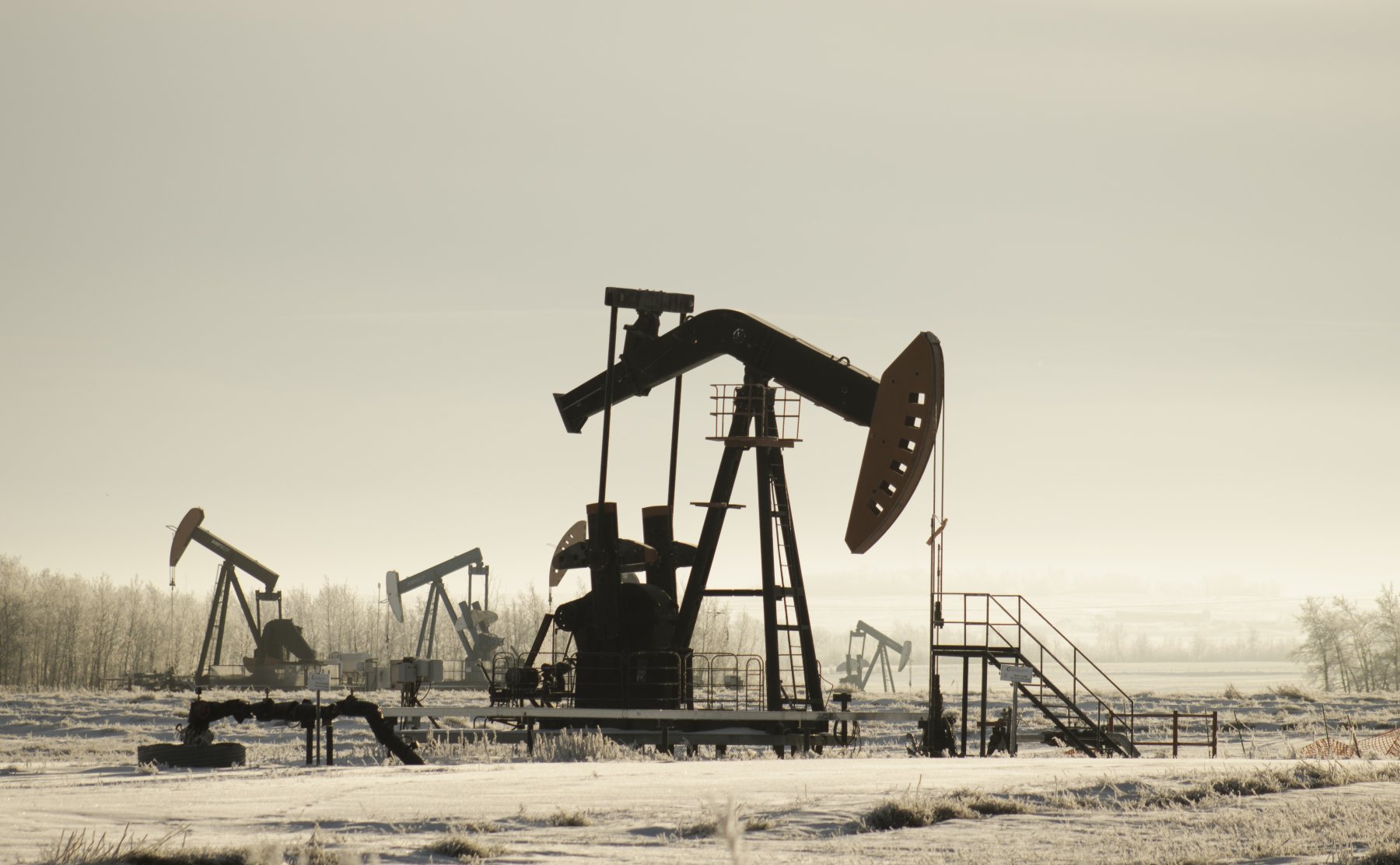 Вслед за Россией страны ОПЕК намерены снизить добычу нефти
