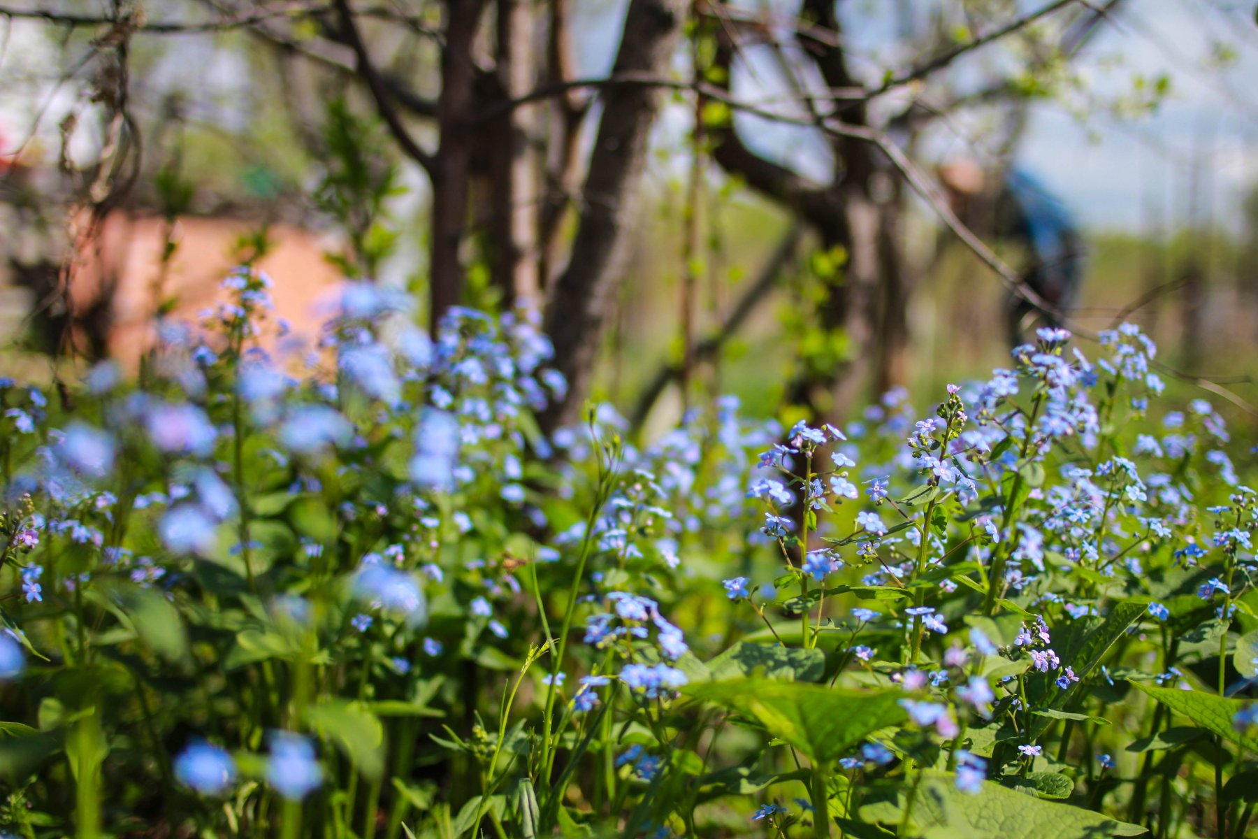 В воскресенье в Подмосковье потеплеет до +20 градусов