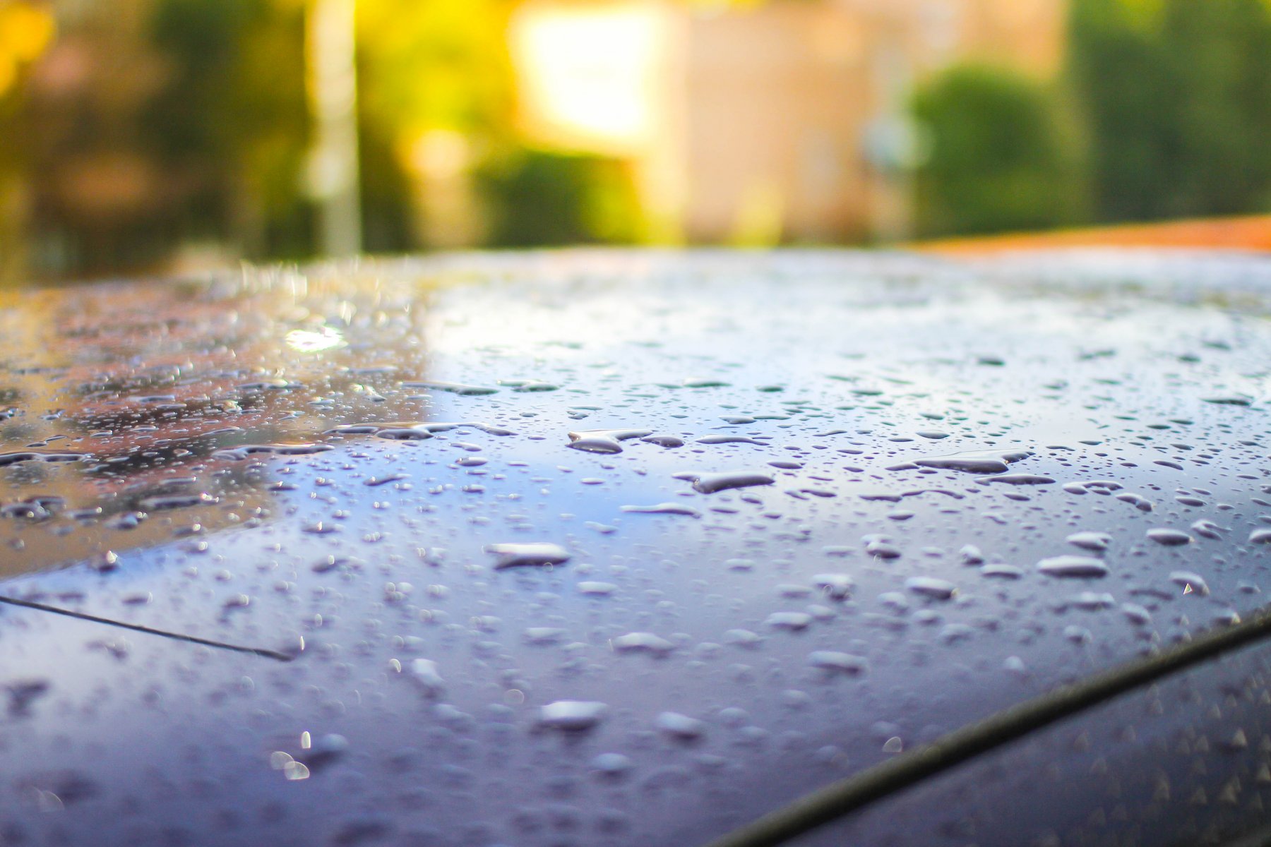 небольшой дождь. небольшой дождик. дождливая погода. похолодание. 6 небольшой дождь.