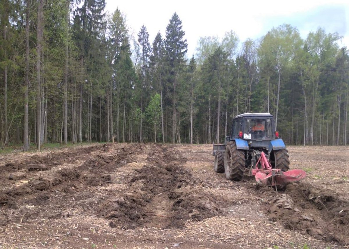 В Подмосковье завершили работы по подготовке почвы к акции «Лес Победы»