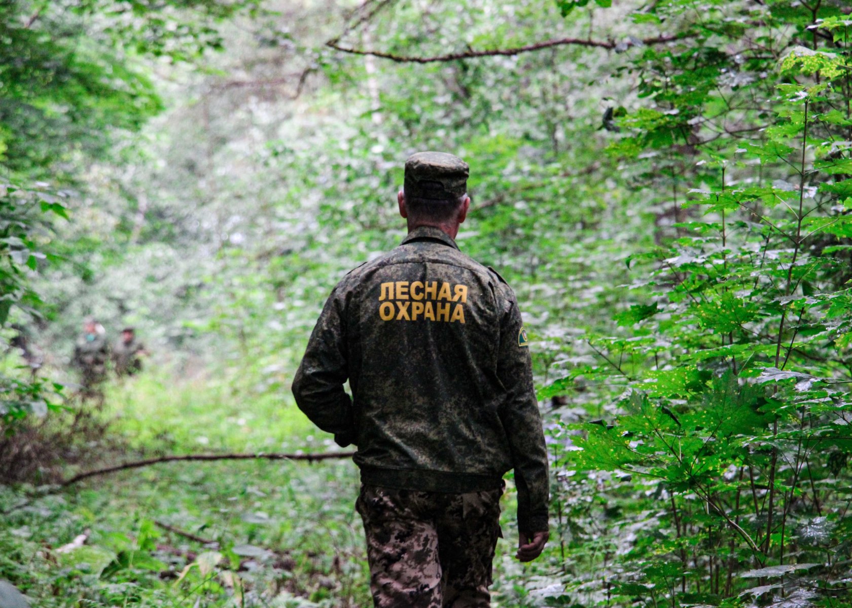 С 6 по 9 мая в Подмосковье выявили 53 нарушения правил пожарной безопасности в лесах 