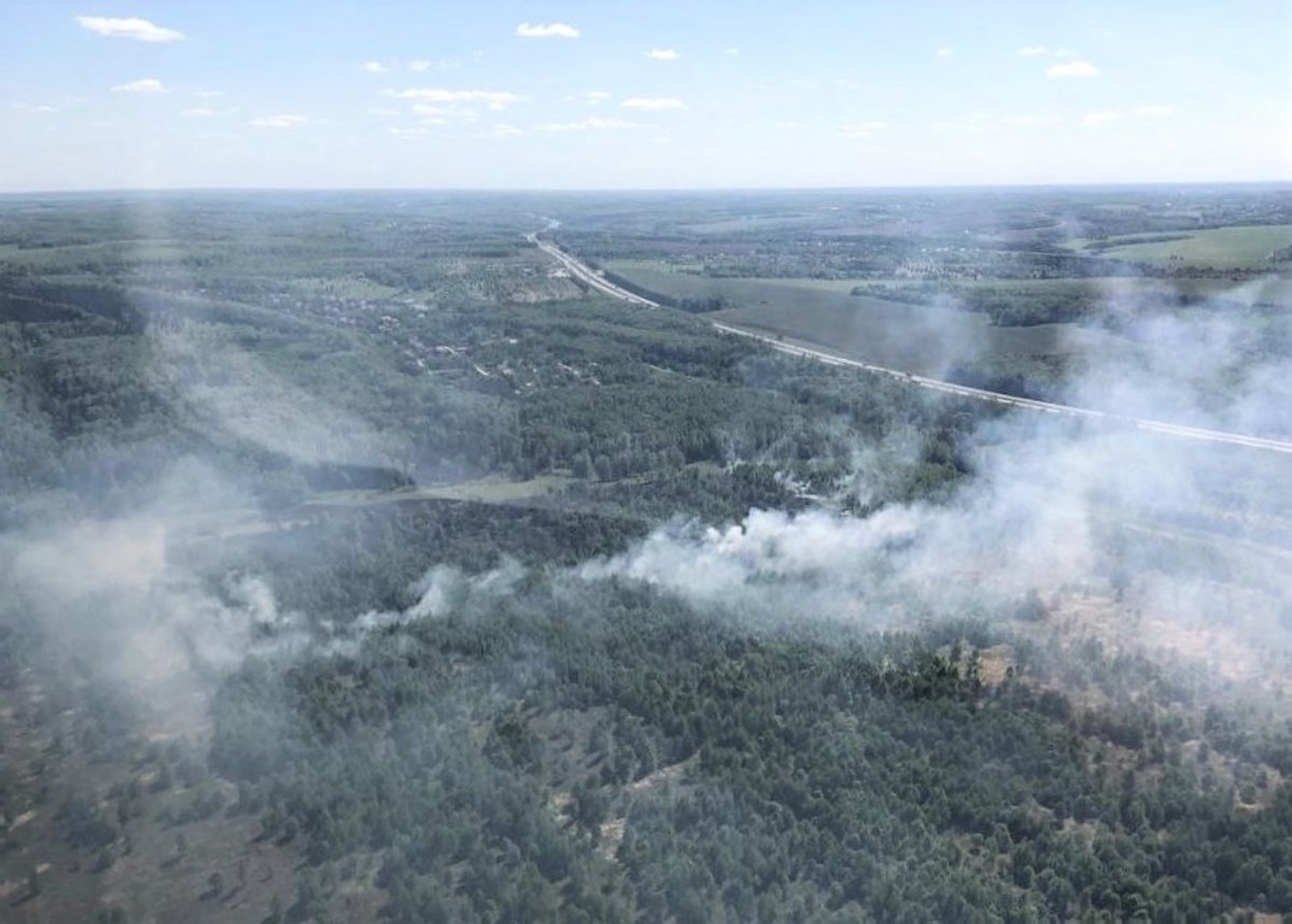 Лесопожарные службы Подмосковья ликвидировали 13 лесных пожаров с 12 по 18 мая