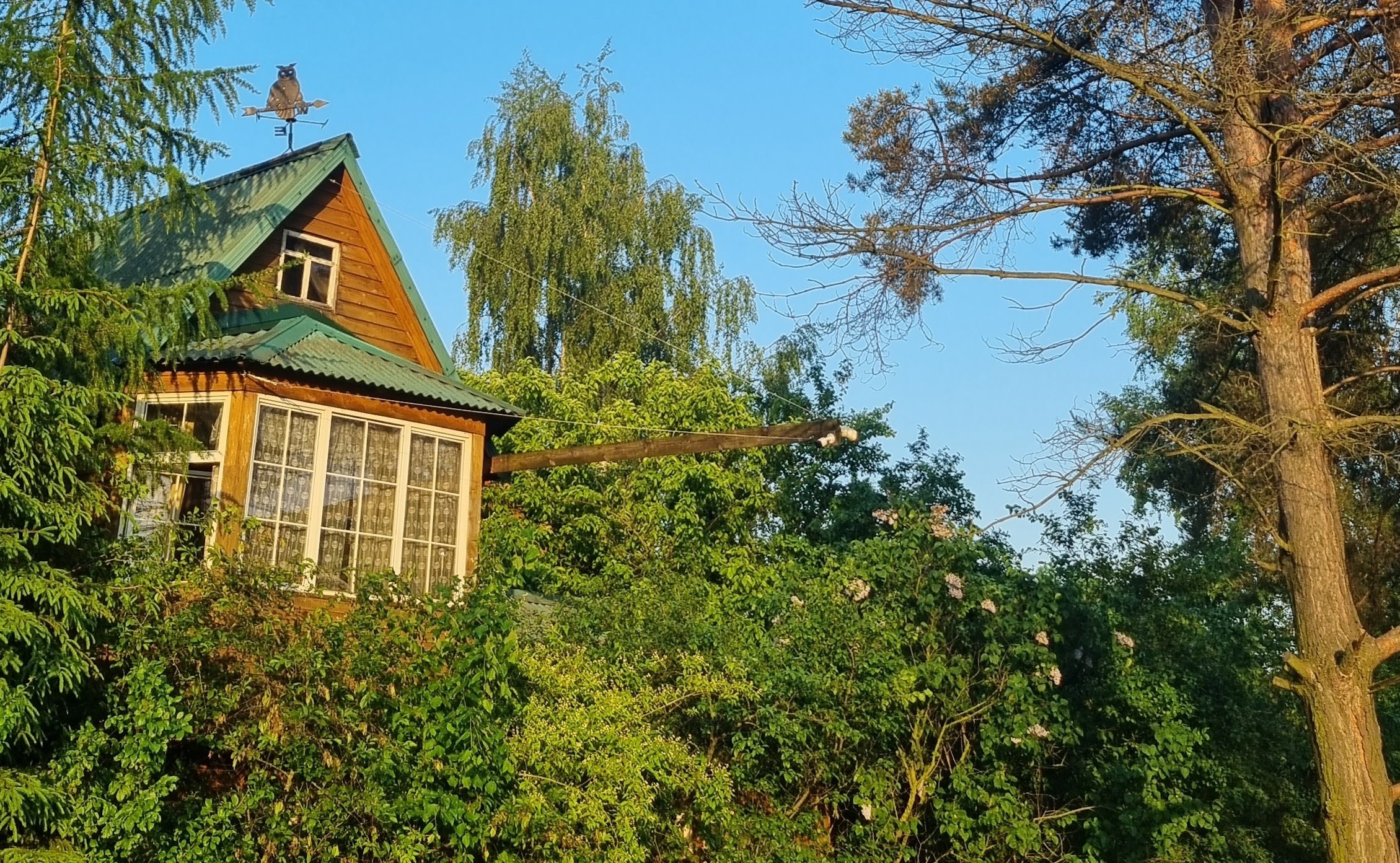 подмосковные дачи. московские дачи инком. сайт дачник подмосковья татьяна васильева. дача в подмосковье. красивые дачи в подмосковье.