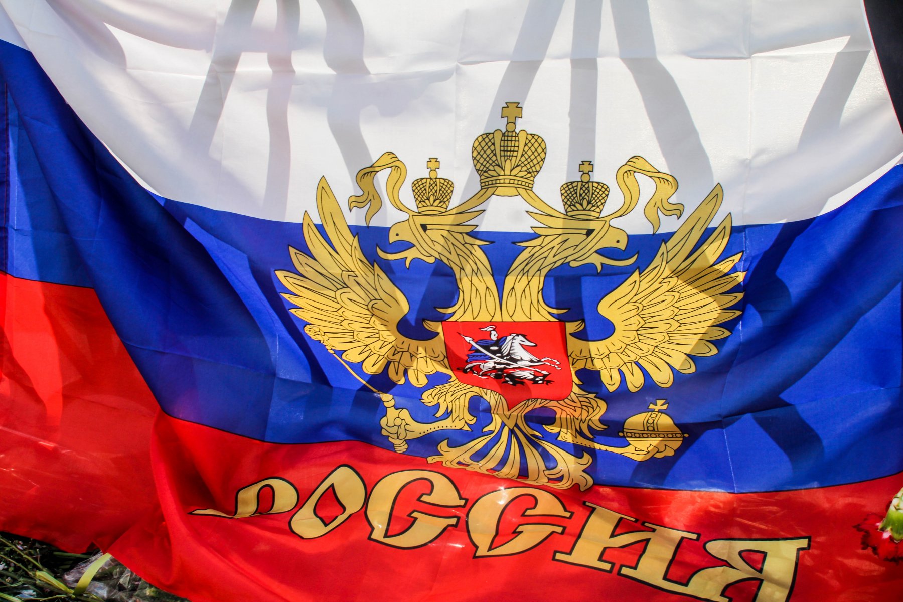 Какие интеграционные направления помогут России достичь передовых целей?