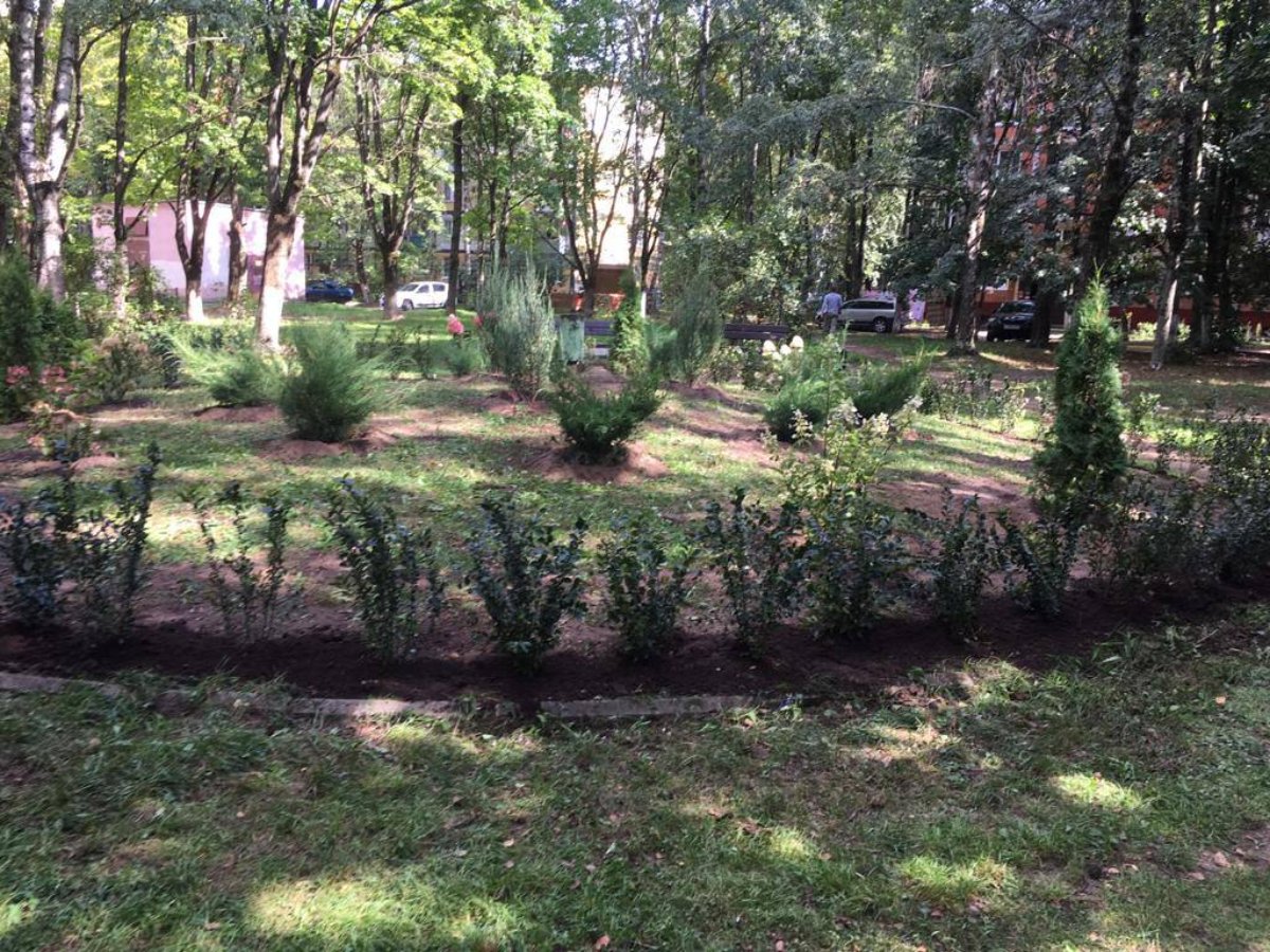 В Красногорске стартовали работы по компенсационному озеленению