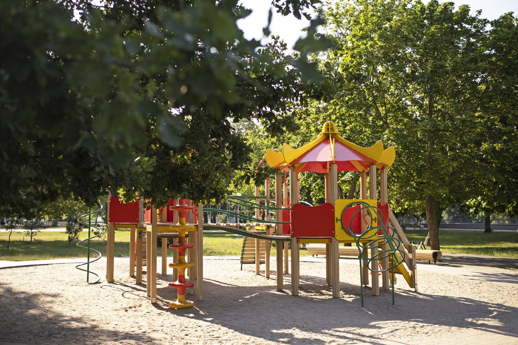 К июлю более чем на 200 детских площадках Подмосковья установят «живые» изгороди