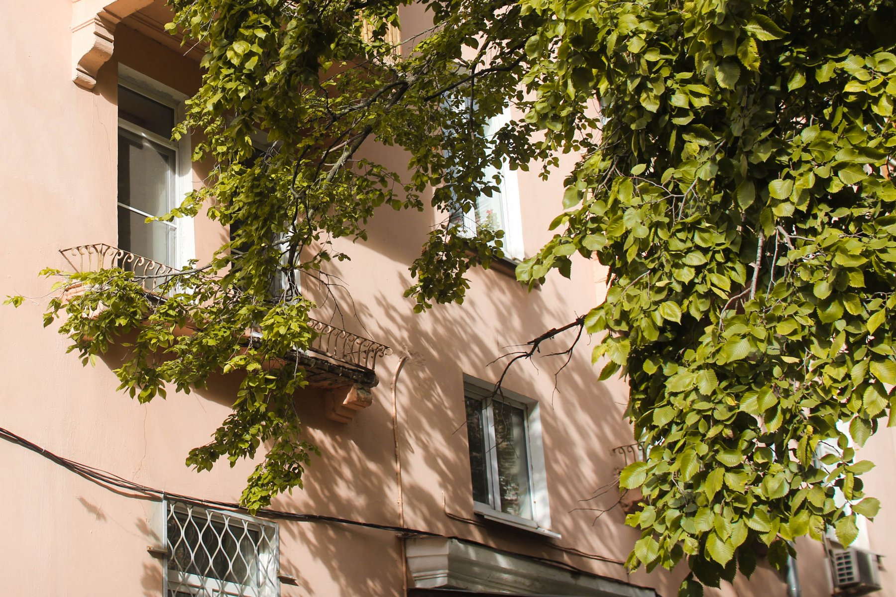 Вторичные квартиры в Москве стали популярнее в 2,5 раза за последний год 