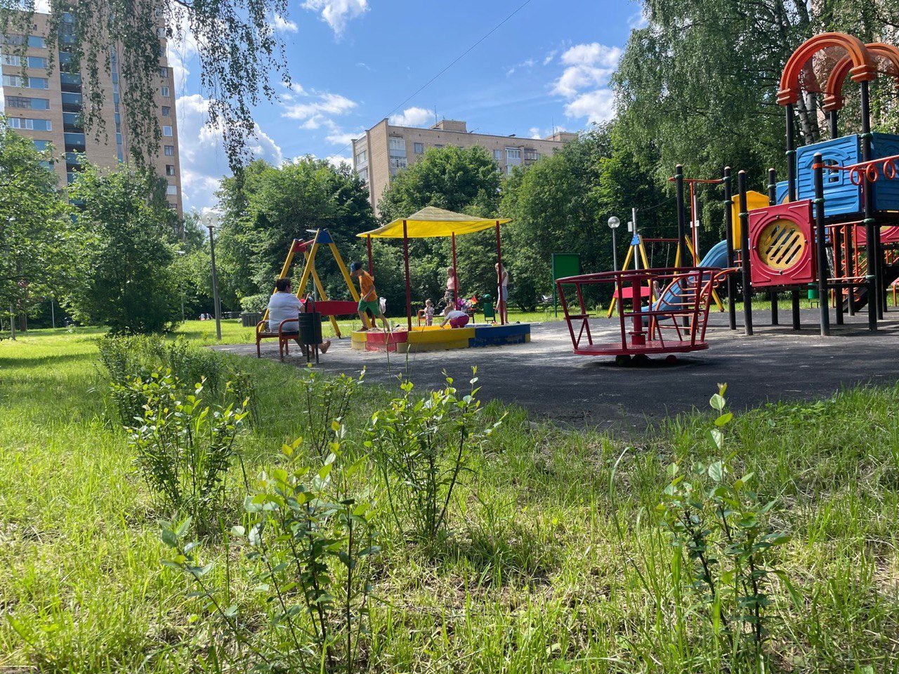 В Подмосковье 258 железных ограждений вокруг детских площадок заменят на живые изгороди
