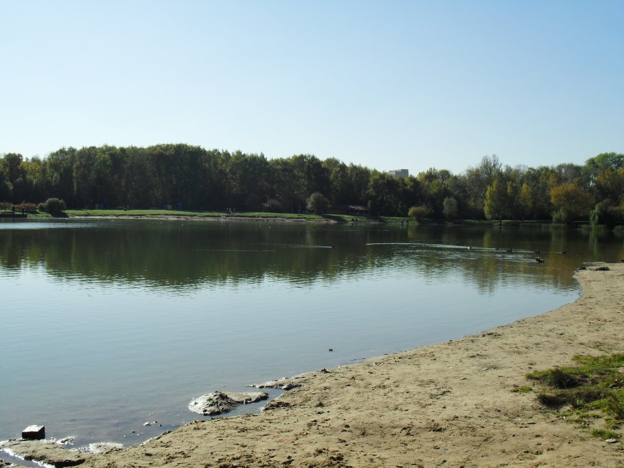 В Московской области в этом году расчистят 40 водоемов