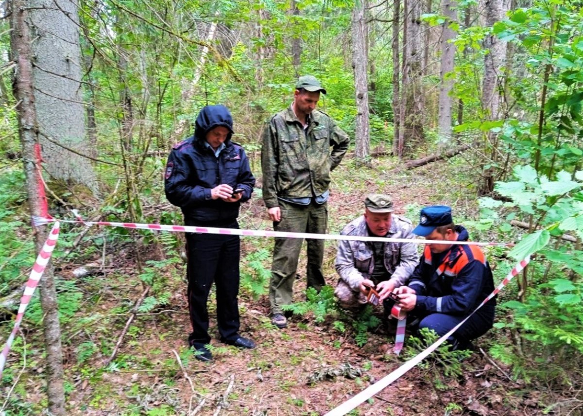 На территории лесного фонда Подмосковья найден боеприпас времен Великой Отечественной войны