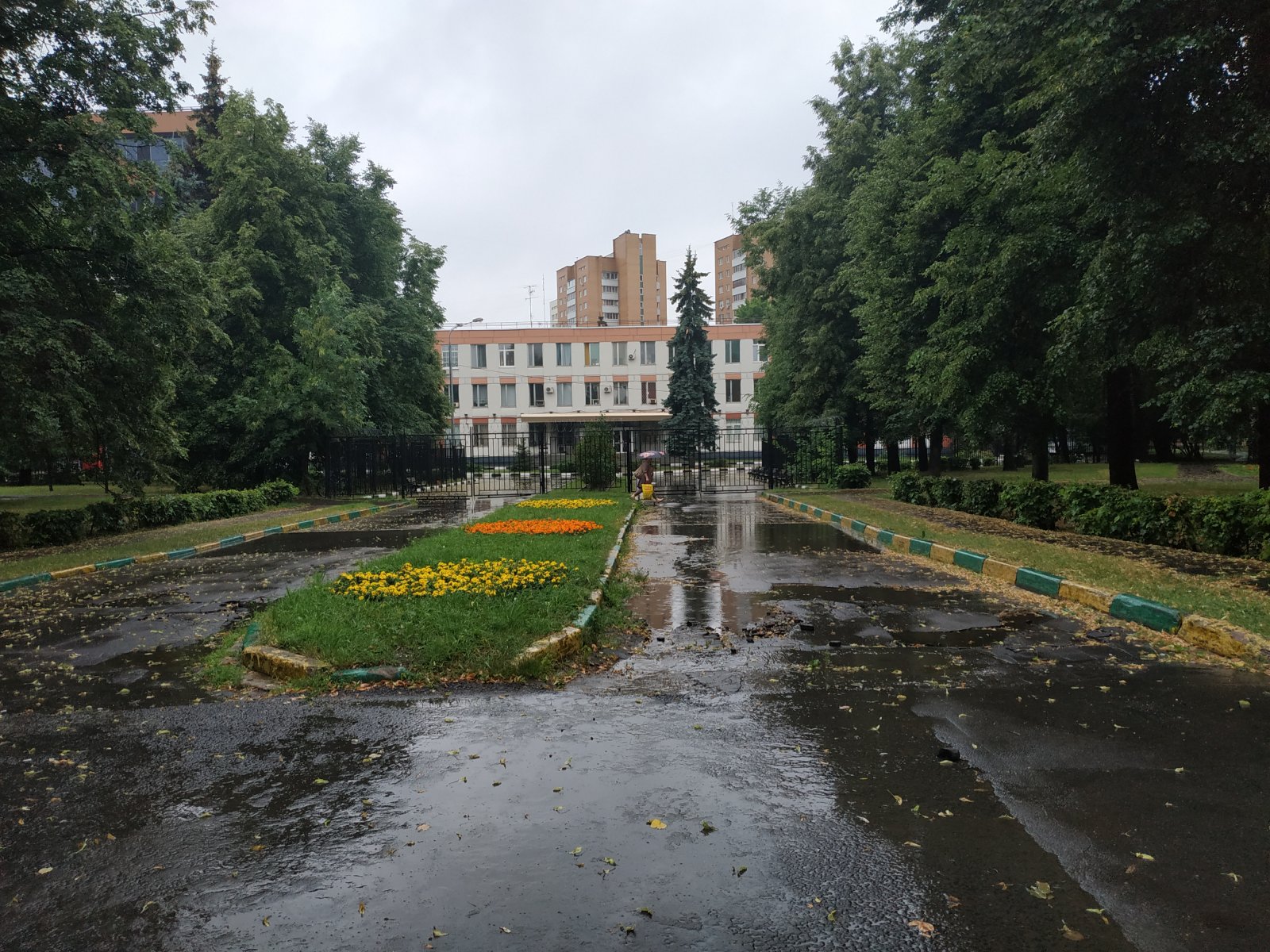 Погода в подмосковье летом. Дожди в Подмосковье. Синоптик Москва на 10.