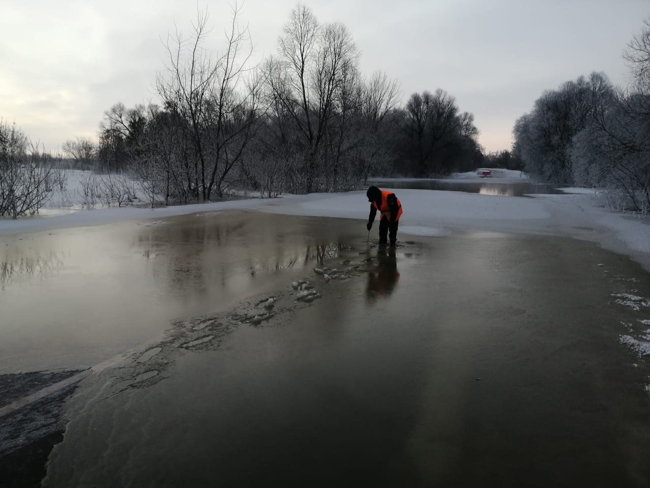 река ока в луховицах